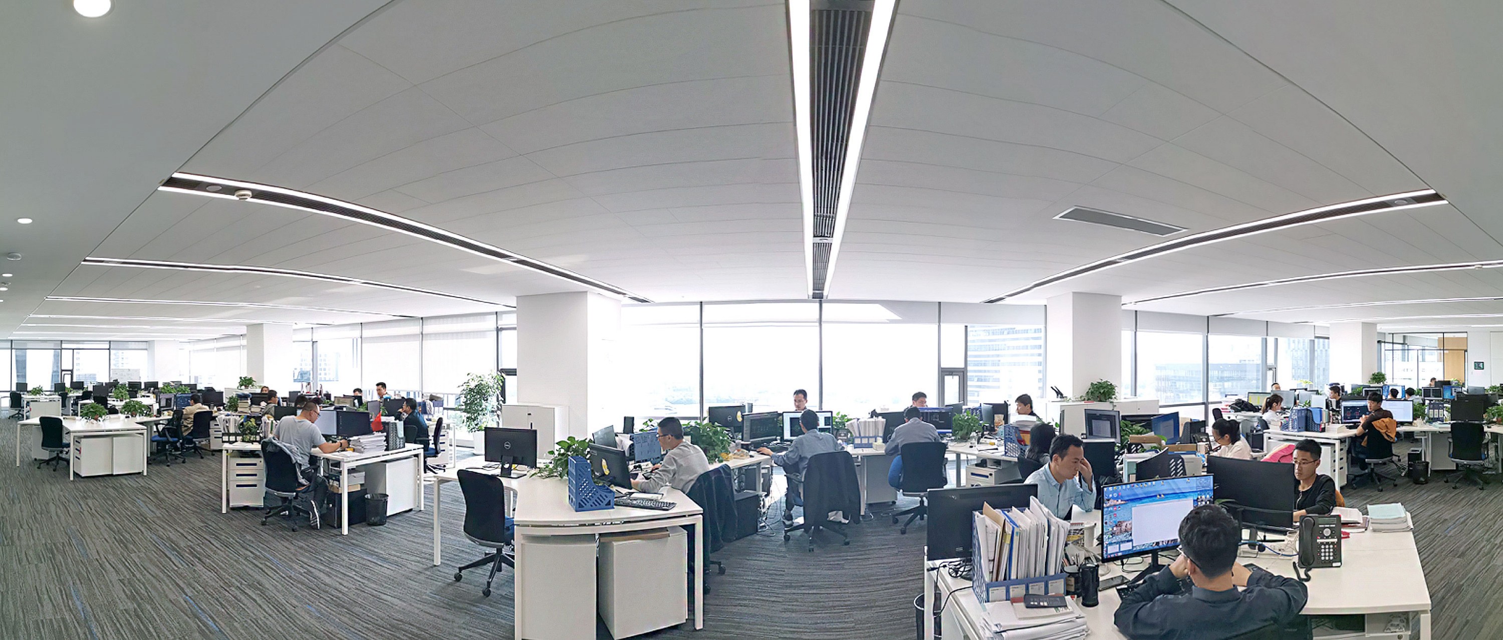 蓝月亮料免资料大全