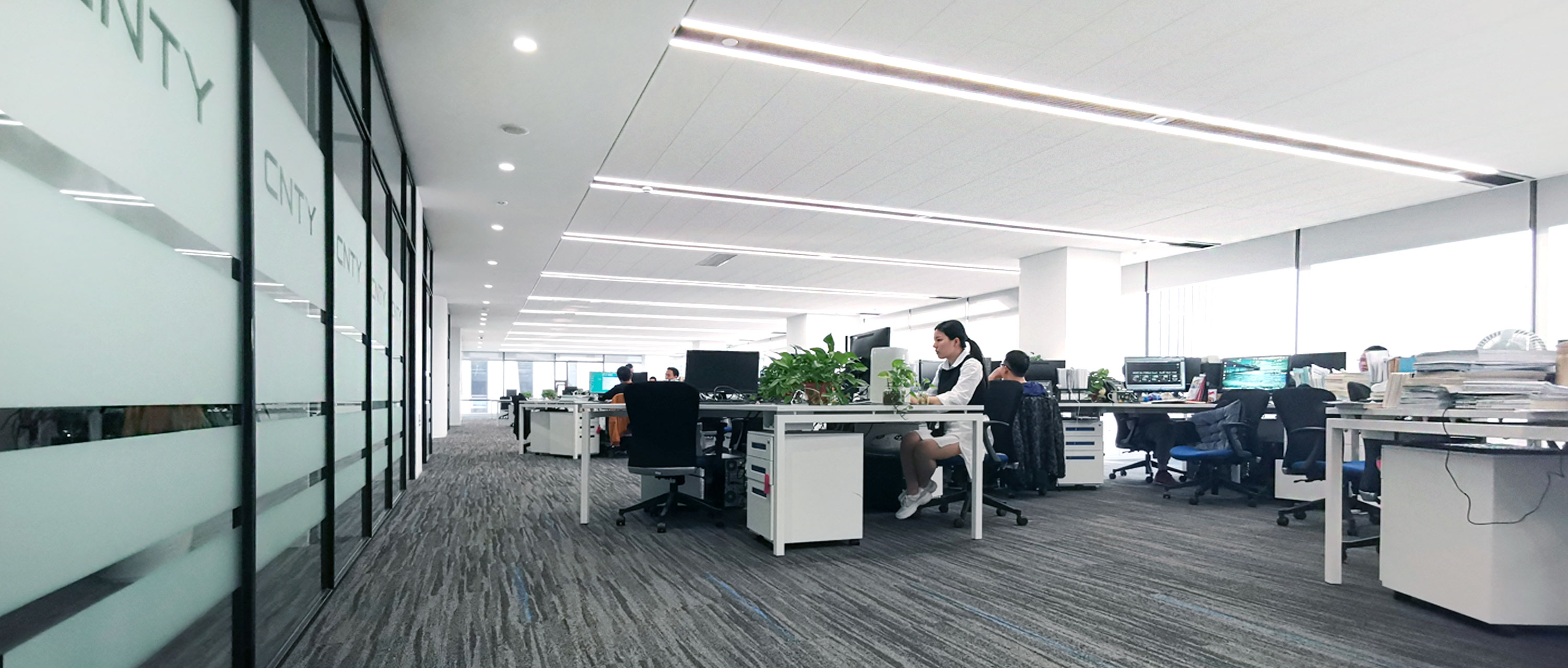 蓝月亮料免资料大全